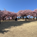 1746117698859 (002).jpg